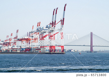 コンテナ埠頭のクレーン群の景色 65713800
