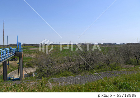 鳥羽井沼 付近　荒川河川敷　埼玉県川島町 65713988
