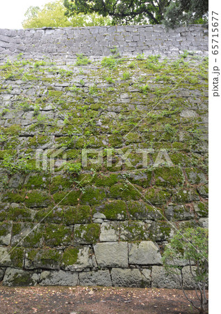盛岡城の石垣(盛岡城跡公園(岩手公園)/岩手県盛岡市内丸1-37) 盛岡城の石垣(盛岡城跡公園(岩手公園)/岩手県盛岡市内丸1-37) 65715677