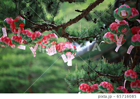 節 寺院 宗教 65716085