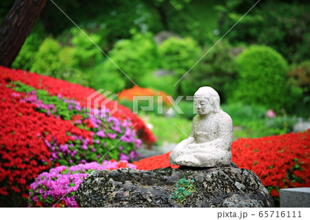 節 寺院 宗教 65716111
