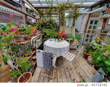 花 屋外 室外 65716193