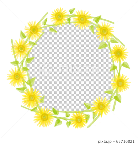 向日葵的框架 65716821