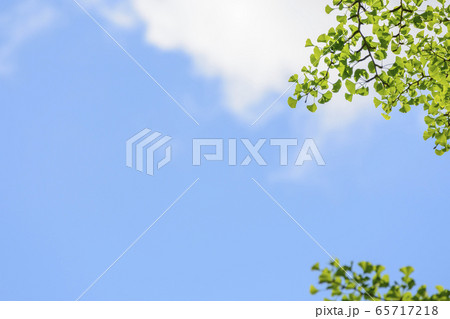 新緑の杜の都 仙台 新緑の杜の都 仙台 65717218