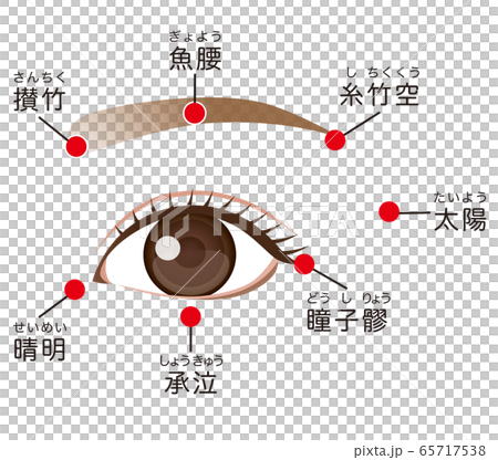 眼疲勞的穴位 65717538
