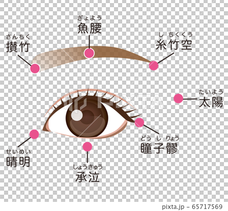 目のツボ　眼精疲労 65717569