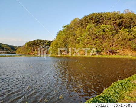 風景 自然の風景 自然 65717686