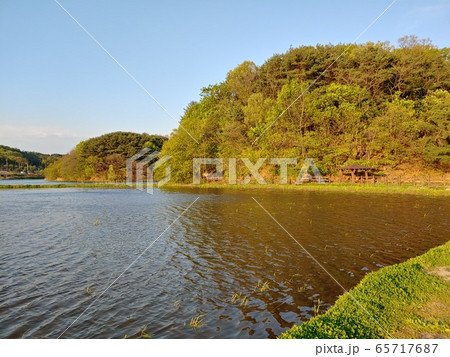 風景 自然の風景 自然 65717687