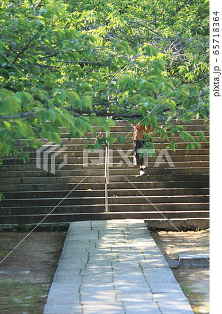 西國寺参道 西國寺参道 65718364