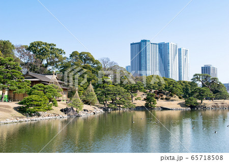 東京都　浜離宮恩賜庭園　大泉水・松の御茶屋付近 65718508