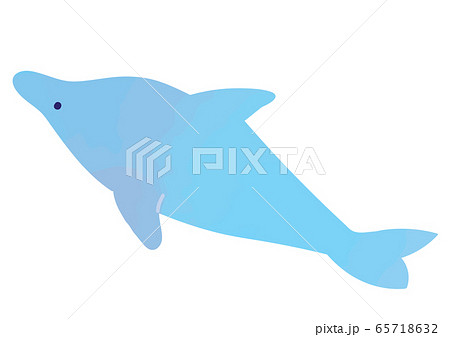 イルカの厚塗り風イラストのイラスト素材