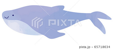 クジラの厚塗り風イラストのイラスト素材