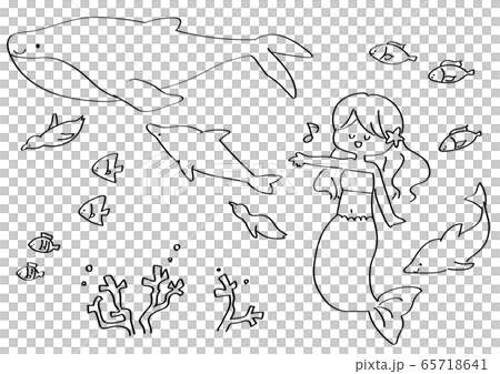 流行海洋生物線描插圖集 65718641