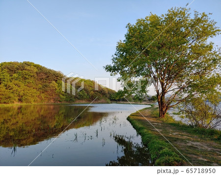 風景 自然の風景 自然 65718950