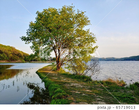 風景 自然の風景 自然 65719013