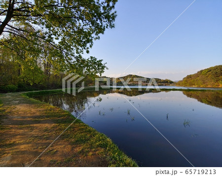 風景 自然の風景 自然 65719213