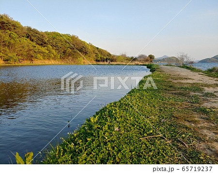 風景 自然の風景 自然 65719237
