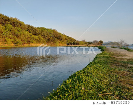 風景 自然の風景 自然 65719239