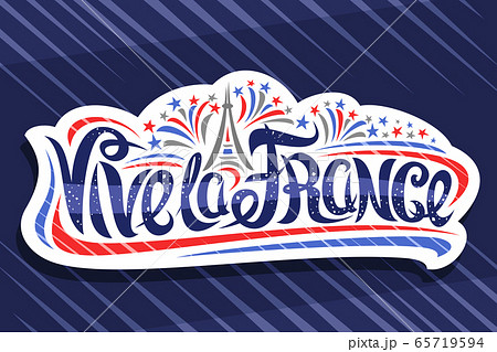 Vector french slogan Vive la France 65719594