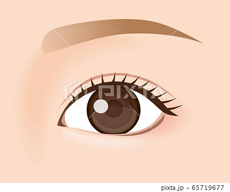 目　美容　健康 65719677