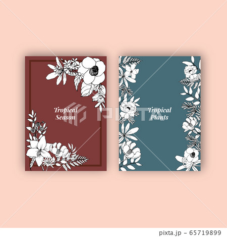 Line art tropical frame design with flowers and 65719899