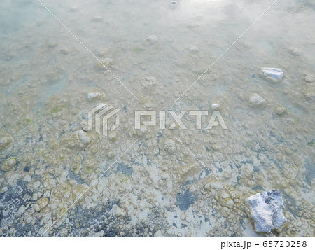 アイスランド　ブルーラグーン 65720258