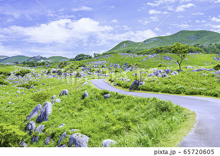 平尾台の美しい景色 65720605