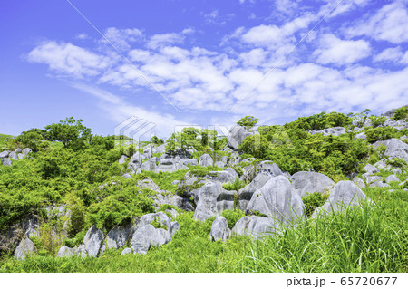 平尾台の美しい景色 平尾台の美しい景色 65720677