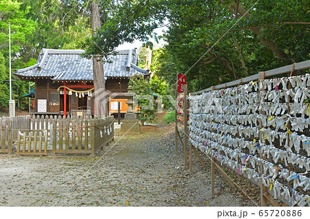 見沼田圃：中山神社　おみくじ結び所と絵馬掛  65720886