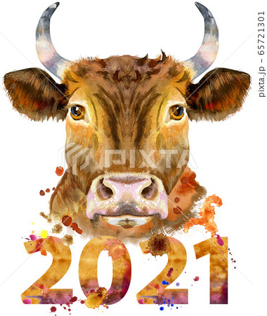 Watercolor illustration of a red bull with number Watercolor illustration of a red bull with number 65721301