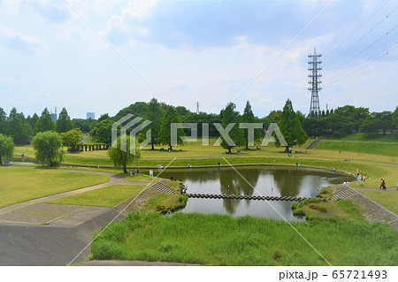 大宮第二公園 65721493