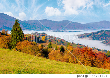 valley full of fog. autumn landscape at sunset. valley full of fog. autumn landscape at sunset. 65721594