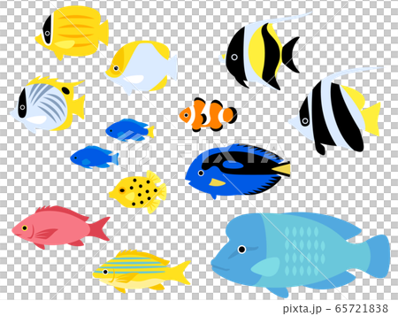 熱帶魚例證集合 65721838
