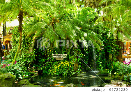 アメリカ　ハワイ州オアフ島のワイキキ　インターナショナル・マーケット・プレイス　改修前の写真 65722280