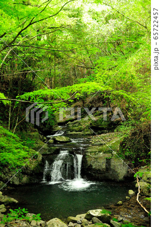 犬鳴山　塔の滝 65722457