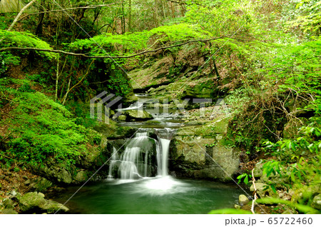 犬鳴山　塔の滝 65722460