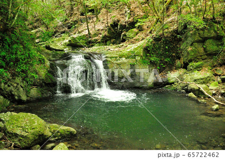 犬鳴山 塔の滝 犬鳴山 塔の滝 65722462