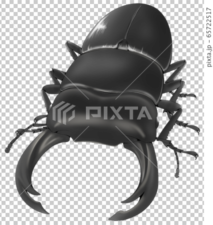 オオクワガタのイラスト素材