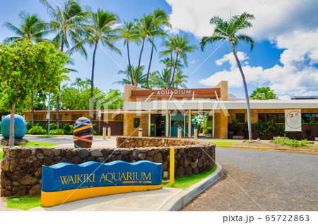 ワイキキ水族館　ハワイ州 ホノルルの水族館 65722863