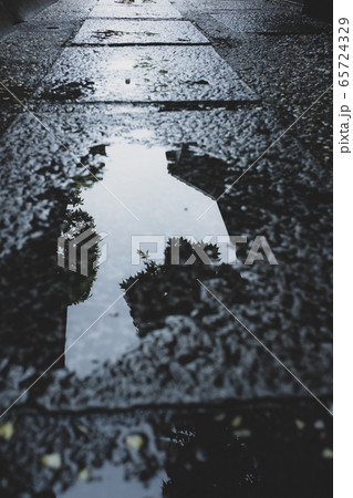 雨上がりの石畳 日本の小路　d-2 マット仕上げ   65724329