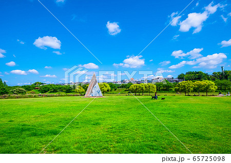 打上川治水緑地公園 打上川治水緑地公園 65725098