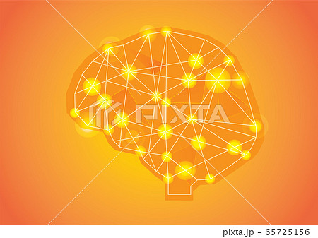 Low Poly Human Intelligence Brain 65725156