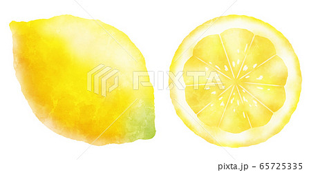 レモンの実と輪切り 水彩風のイラスト素材