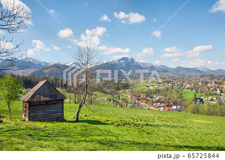 View of Tatra Mountains from the meadow in Zakopane, Poland View of Tatra Mountains from the meadow in Zakopane, Poland 65725844
