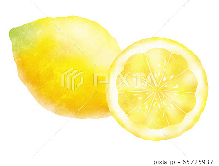 水彩タッチのレモンのイラスト素材