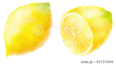 水彩タッチのレモンのイラスト素材