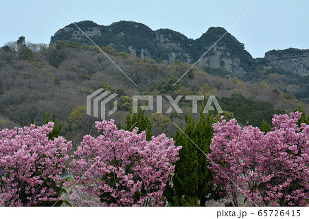 五剣山（八栗山）春２ 65726415