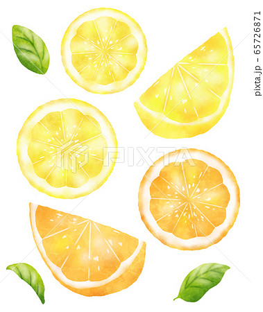 水彩風のレモンとオレンジのセットのイラスト素材