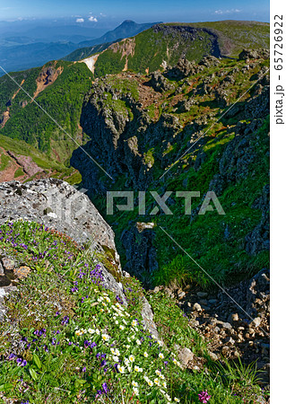八ヶ岳連峰・横岳の高山植物と硫黄岳・蓼科山の眺め 65726922