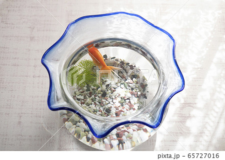 窓辺の金魚鉢 窓辺の金魚鉢 65727016
